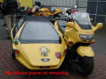 yellowcomete1.jpg (50355 Byte)